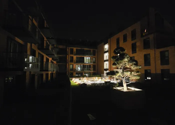 Justinrent Next By Gallery