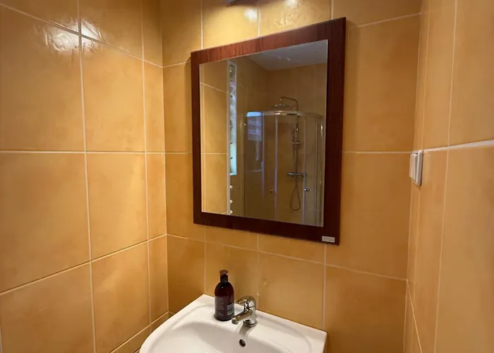 Justinrent Next By Gallery 公寓 莱格尼察